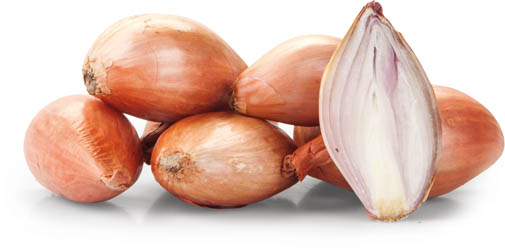 Cibule šalotka 30/ 50 čerstvá 500 g