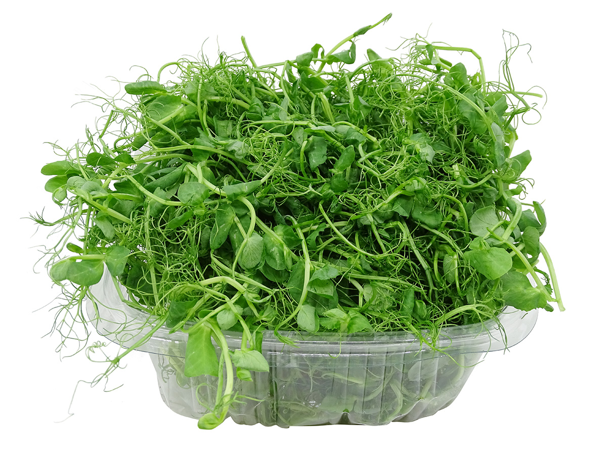 Mikrobylinky - výhonky hrášku 100 g