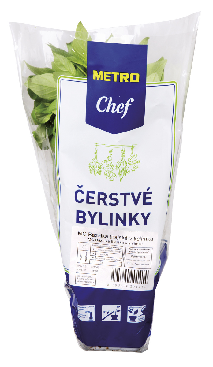METRO Chef Bazalka thajská 1 ks kelímek