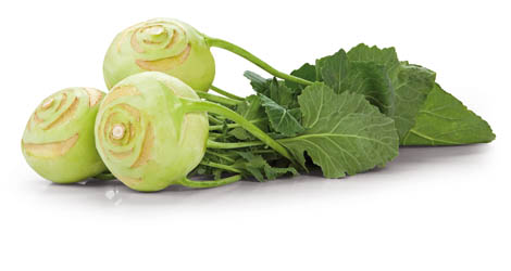 Kedlubna bílá s natí IT čerstvá 1 ks