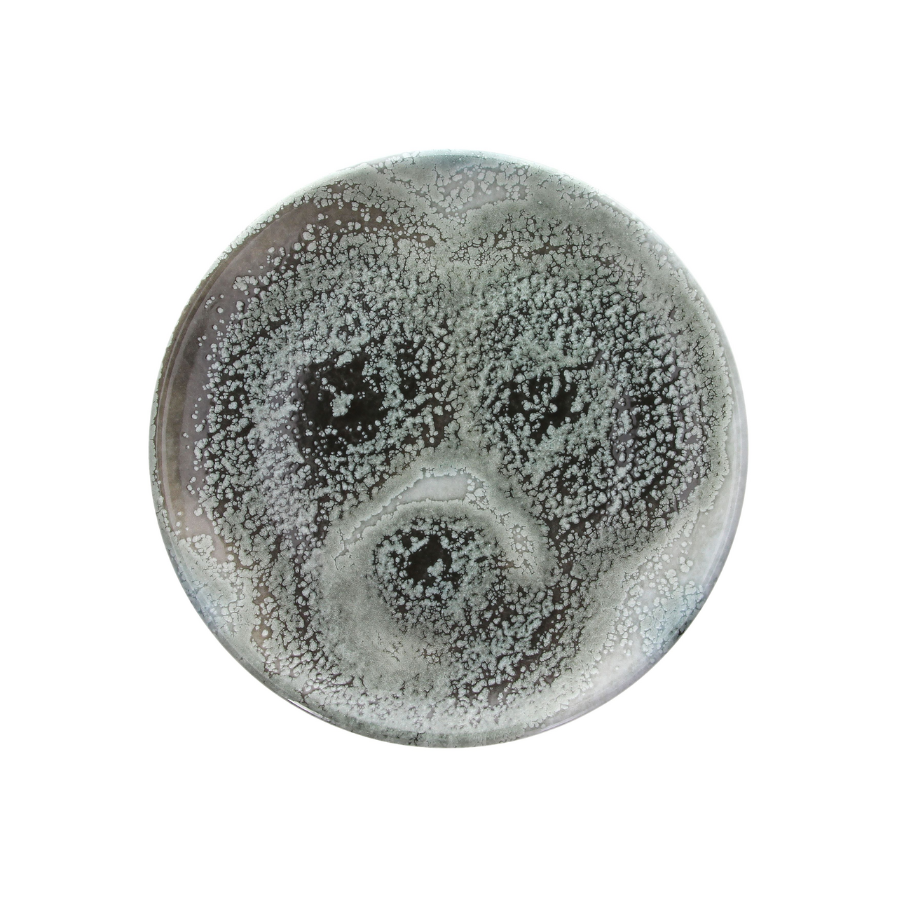 Tognana Talíř mělký Iceland 30 cm porcelán 1 ks