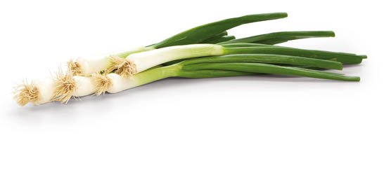 Cibulka lahůdková čerstvá 1 ks svazek