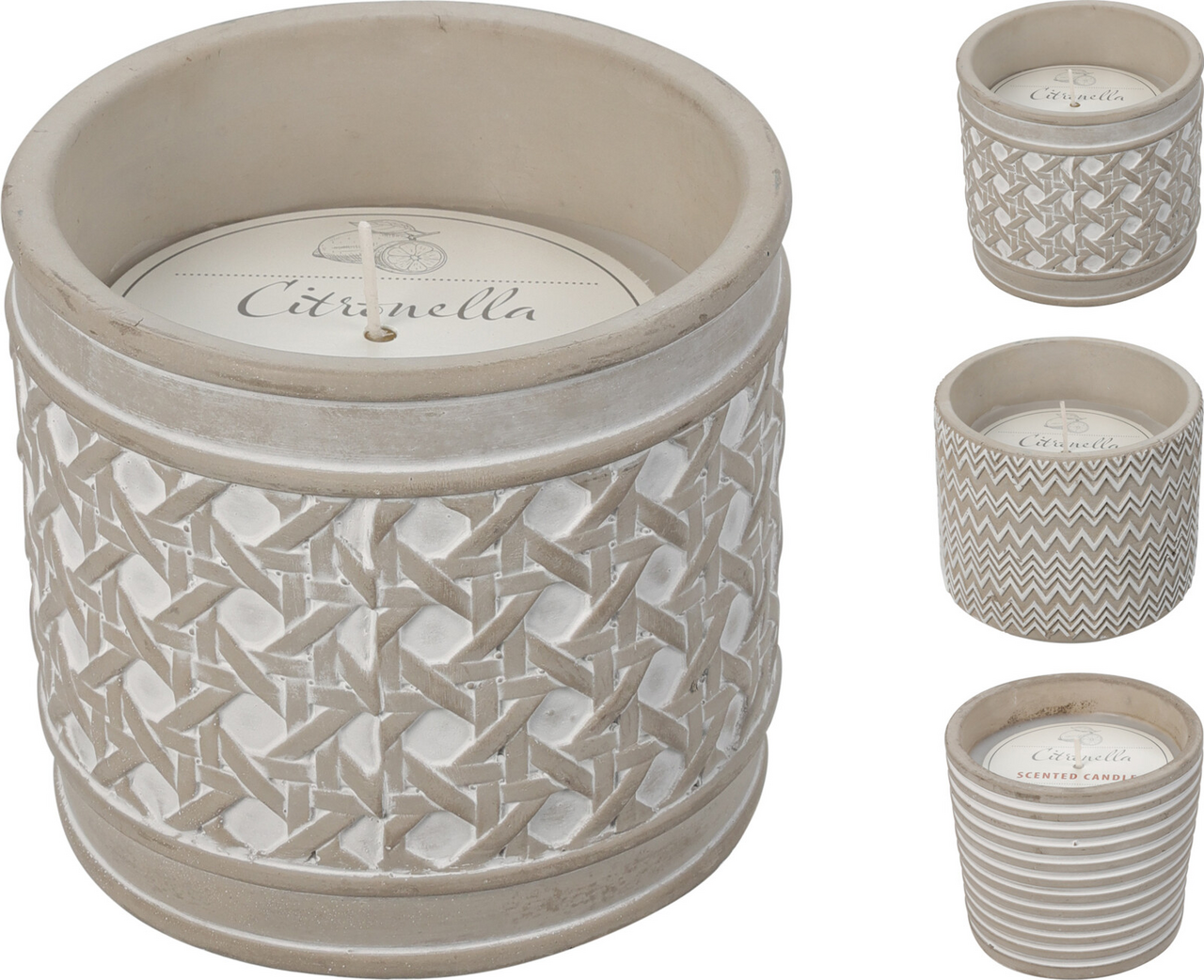 Citronela v květináči 3ASS 1 ks