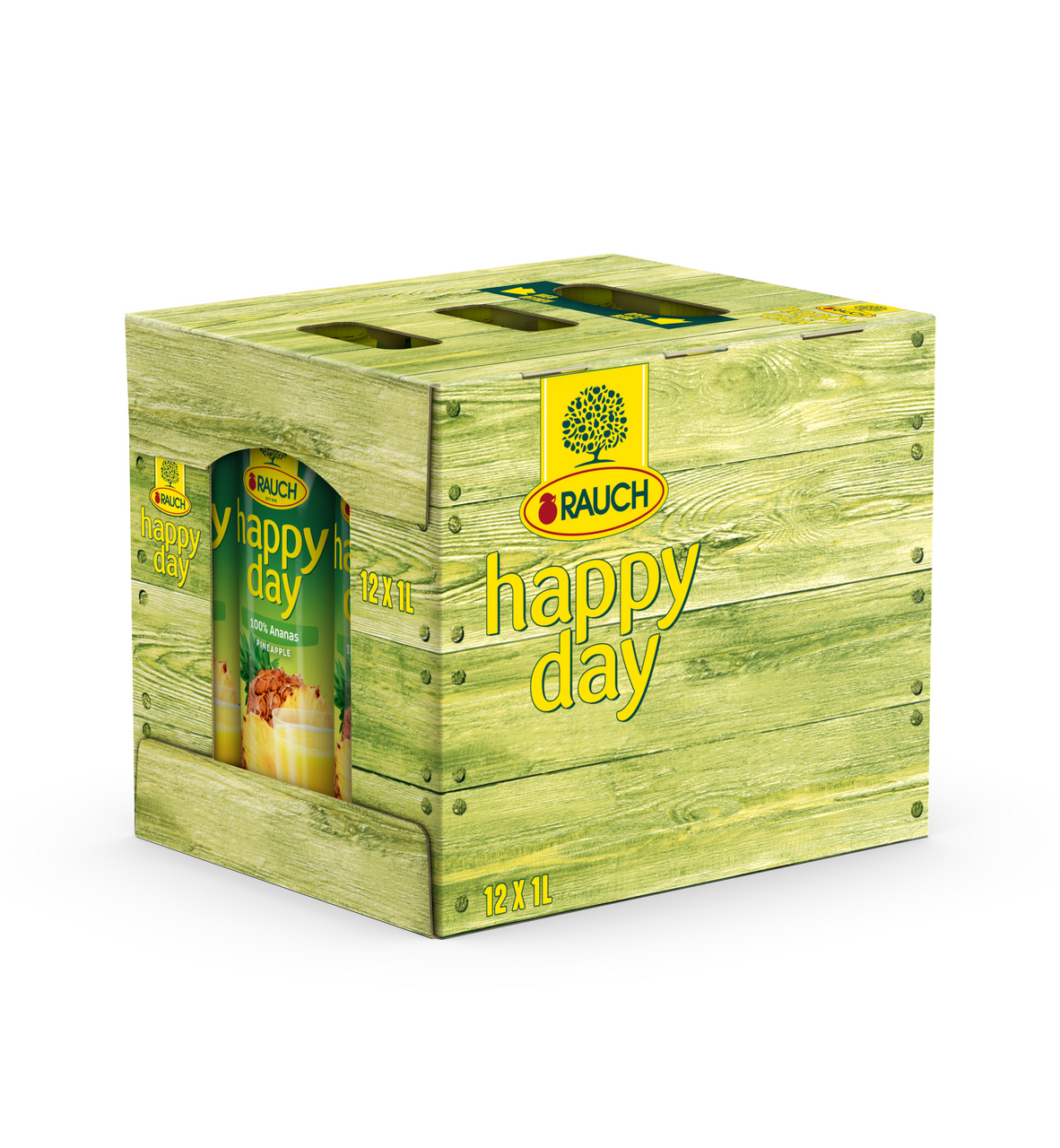 RAUCH happy day Ananas 100 % 12 x 1 l
