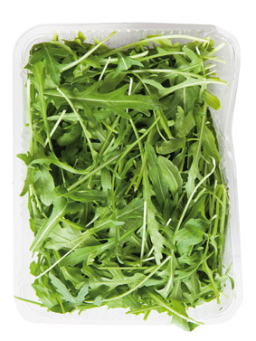 Rukola nepraná čerstvá 1 kg karton