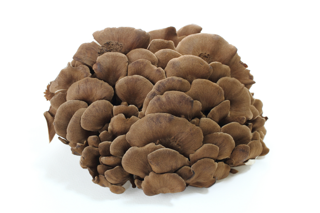 Maitake 150 g vanička
