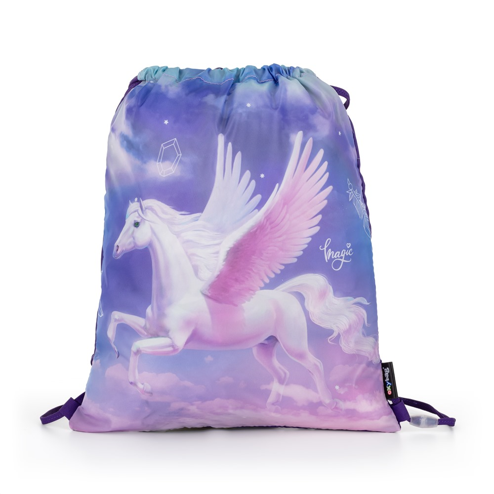 KARTON P+P Sáček na cvičky Pegas 1 ks