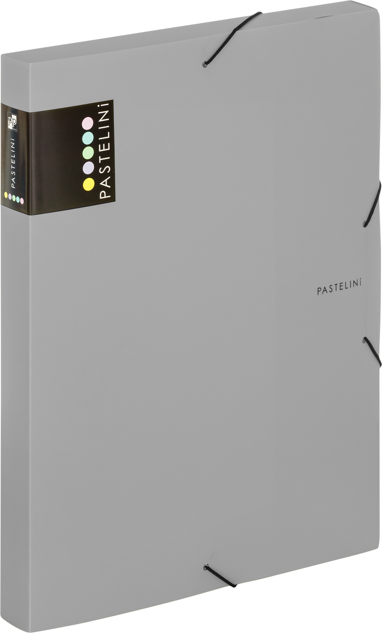 KARTON P+P Box na spisy Pastelini šedá 1 ks