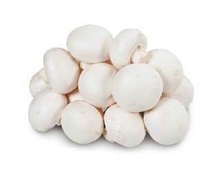 Žampiony bílé 40 - 60 čerstvé 2,5 kg