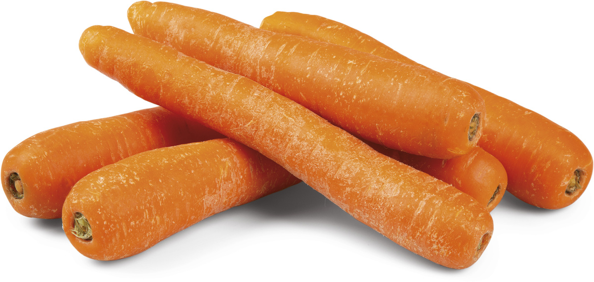 Mrkev karotka 50/150 5 kg