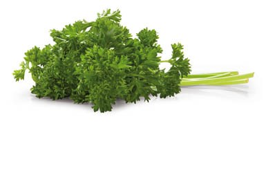 Petržel kadeřavá bal. 400 g