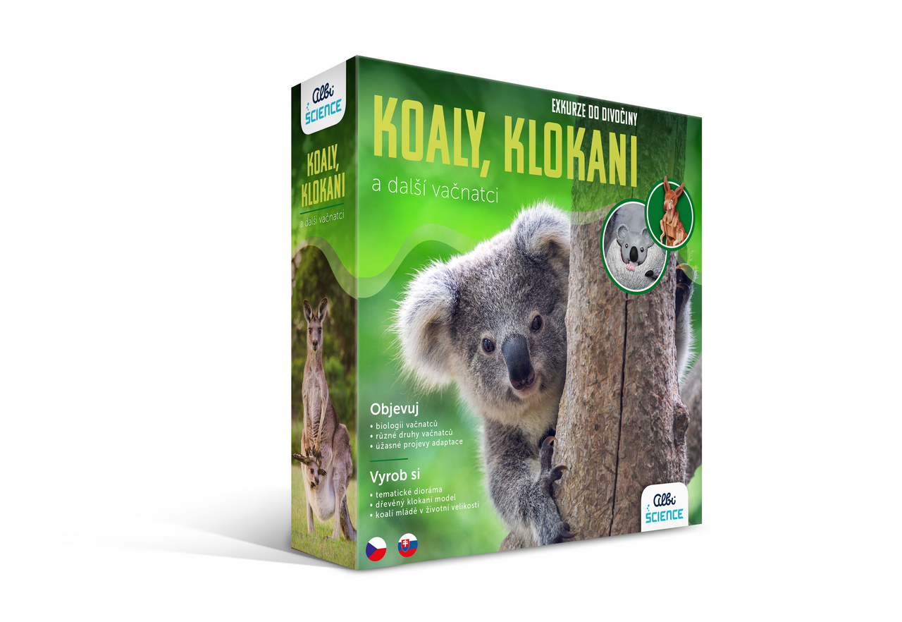 Exkurze do divočiny - koaly 1 ks