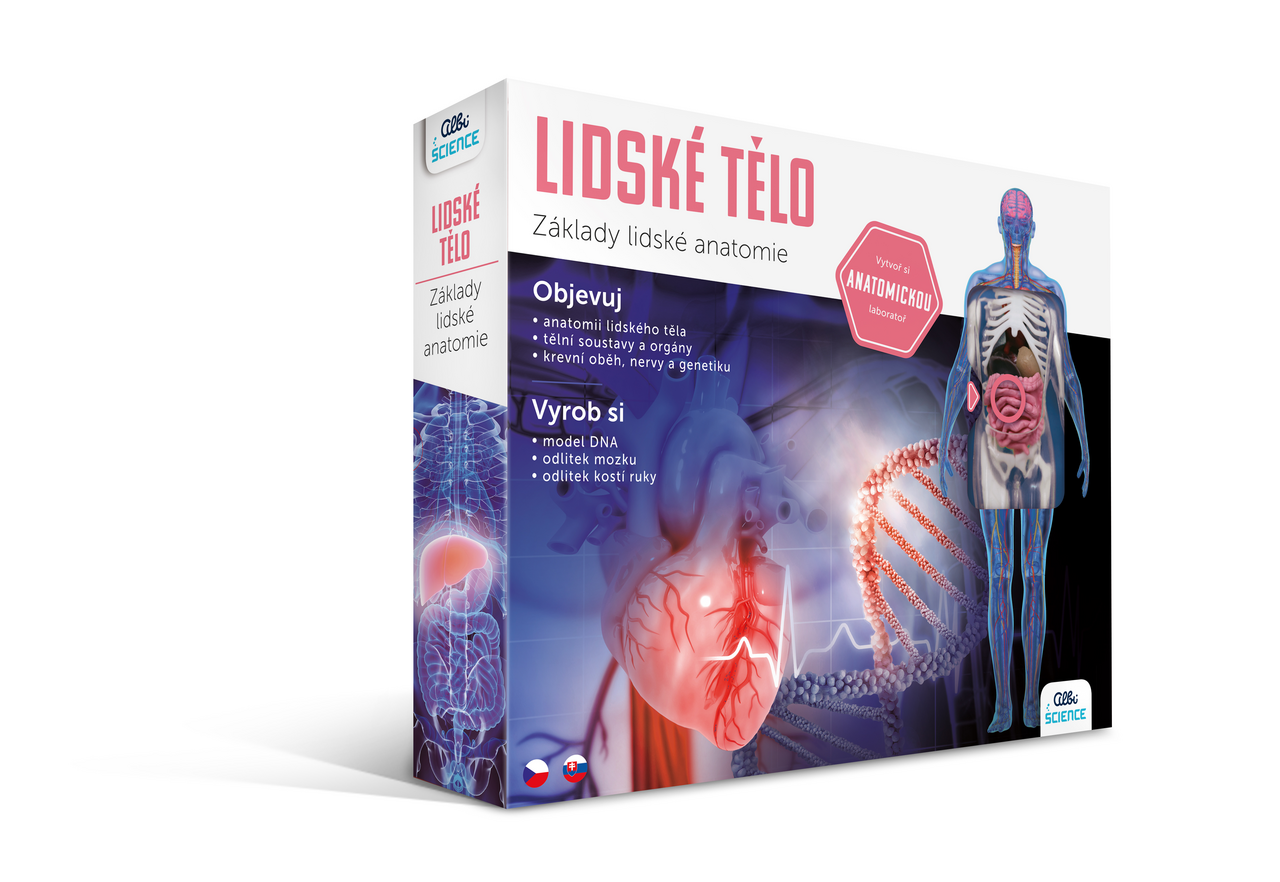Lidské tělo 1 ks