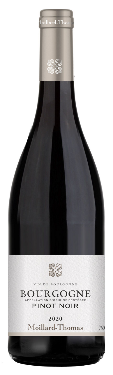 Moillard Thomas Bourgogne Pinot Noir 6 x 750 ml