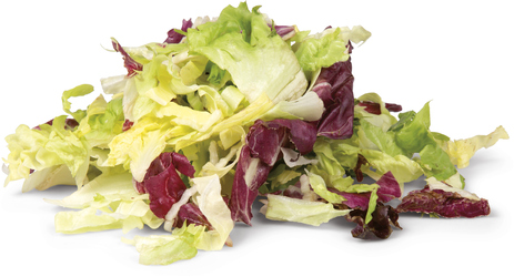 Salát řezaný mix čerstvý 1 kg