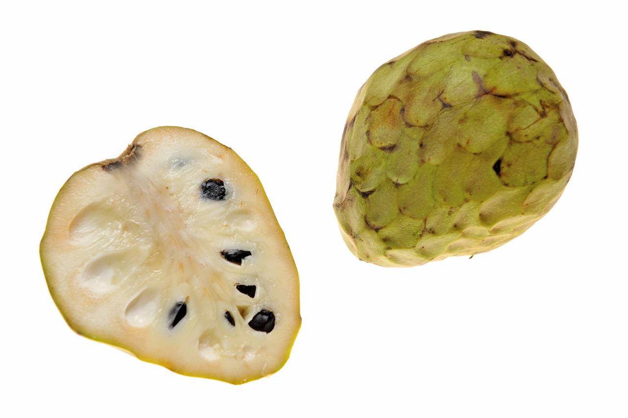 Cherimoya 1 ks