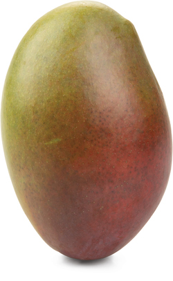 Mango Kent / Palmer Hard čerstvé 1 ks
