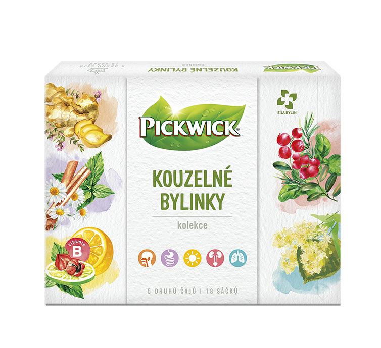 PICKWICK Kouzelné bylinky Mixbox 29 g