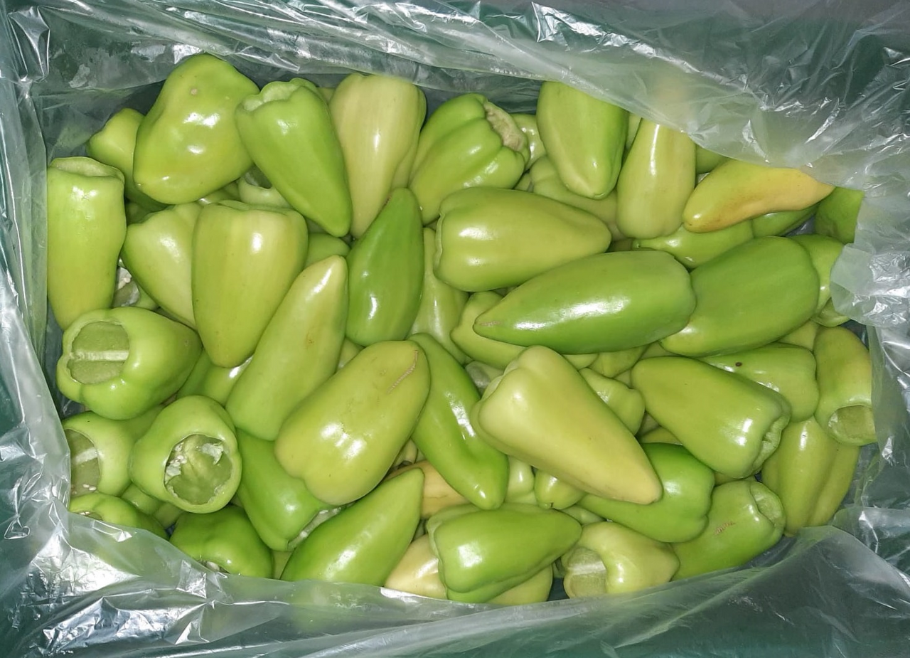 Paprika lusk odjadřincovaná mraž. 8 kg