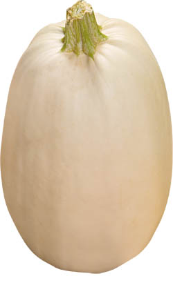 Dýně špagetová 700+ CZ 1 ks