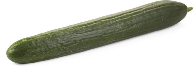 Okurka hadovka 200+ čerstvá 1 ks