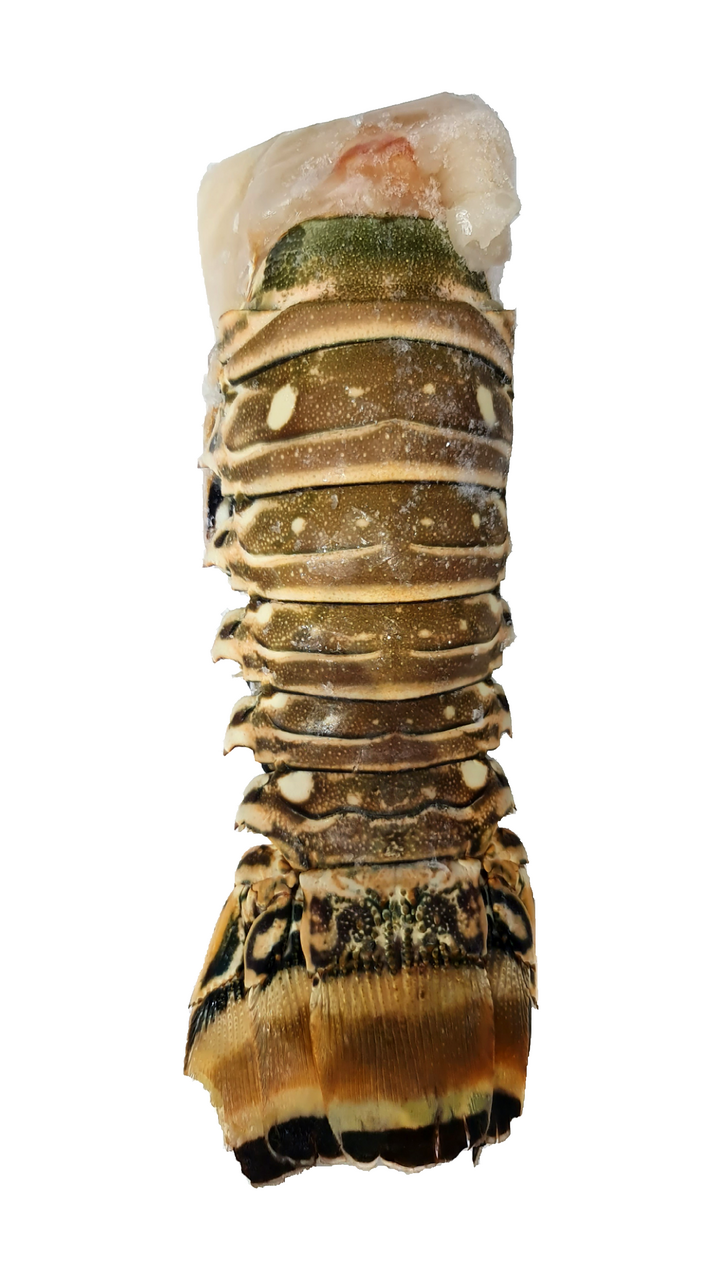 Langusta Karibská ocas mraž. cca 250 g