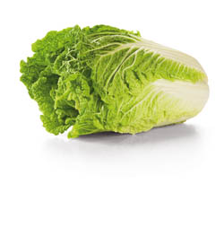 Zelí pekingské SK čerstvé váž. 1 ks