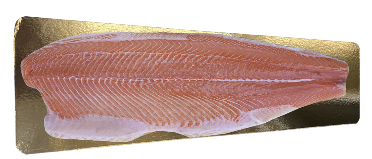 Losos obecný Trim C vakuum chlaz. 1 - 1,4 kg