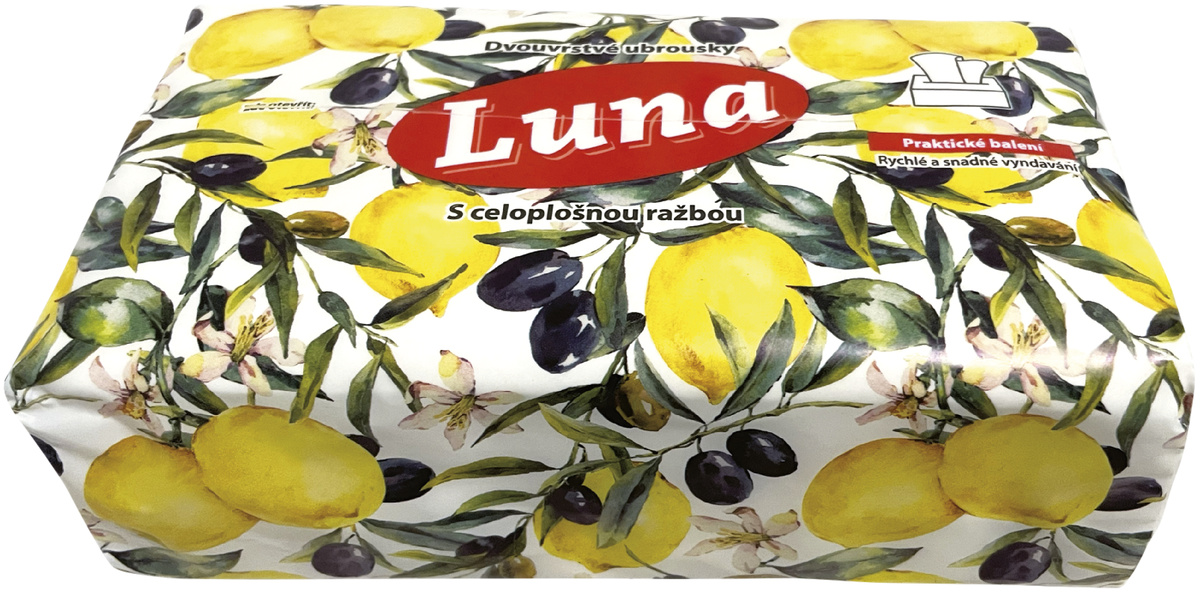 Papírové kapesníky 2vrstvé balíček 1 ks