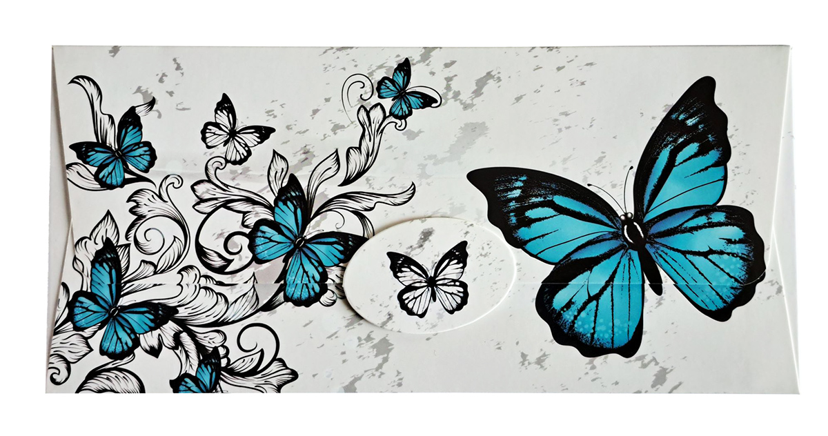 Flexio Obálka na peníze 1 ks