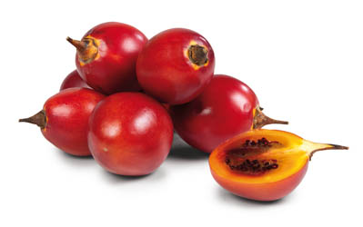 Tamarilo červené čerstvé 2 ks tácek