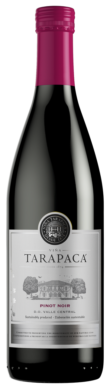 TARAPACÁ Pinot Noir 6 x 750 ml