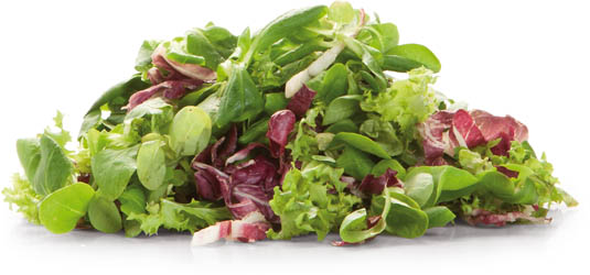 METRO Chef Salát Misticanza praný 125 g vanička