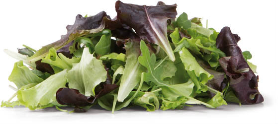 METRO Chef Salát Quattro Gusti nepraný 500 g vanička