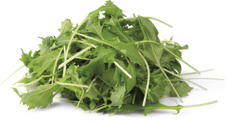 METRO Chef Salát Mizuna zelená 125 g