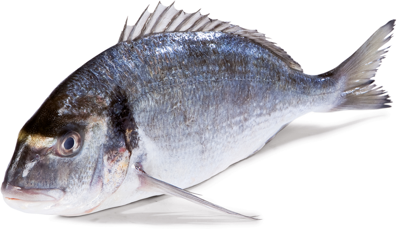 METRO Premium Pražma královská chorvatská ASC chlaz. váž. 330 - 500 g