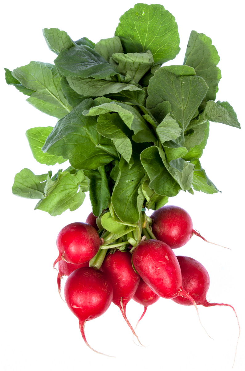 Ředkvička s natí CZ 1 ks svazek