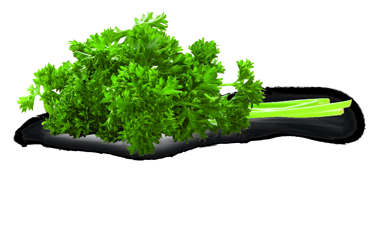 Petržel kadeřavá 1 kg