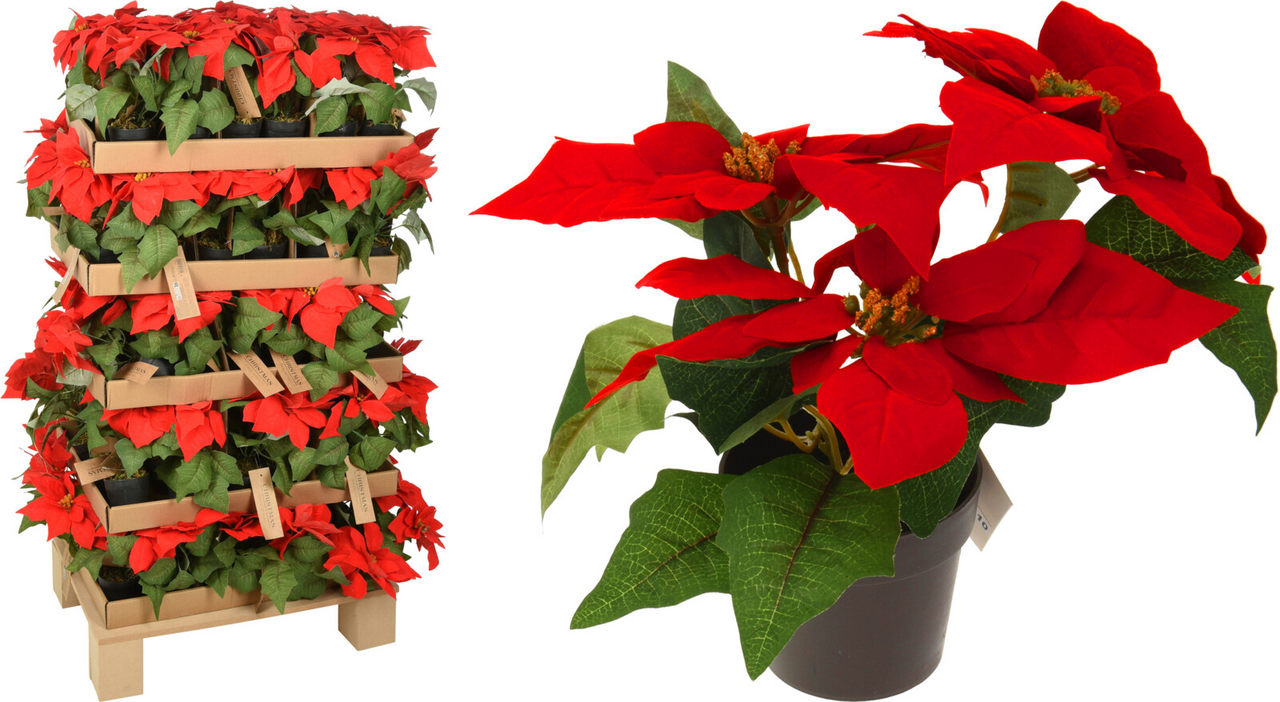 Vánoční hvězda květina 19 cm 1 ks