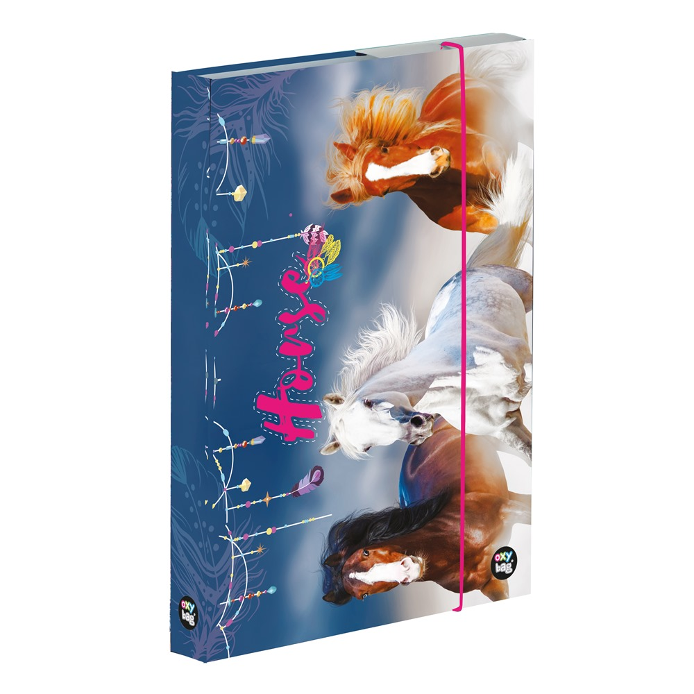 KARTON P+P Box na sešity A4 kůň 1 ks