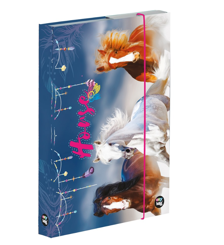 KARTON P+P Box na sešity A5 kůň 1 ks