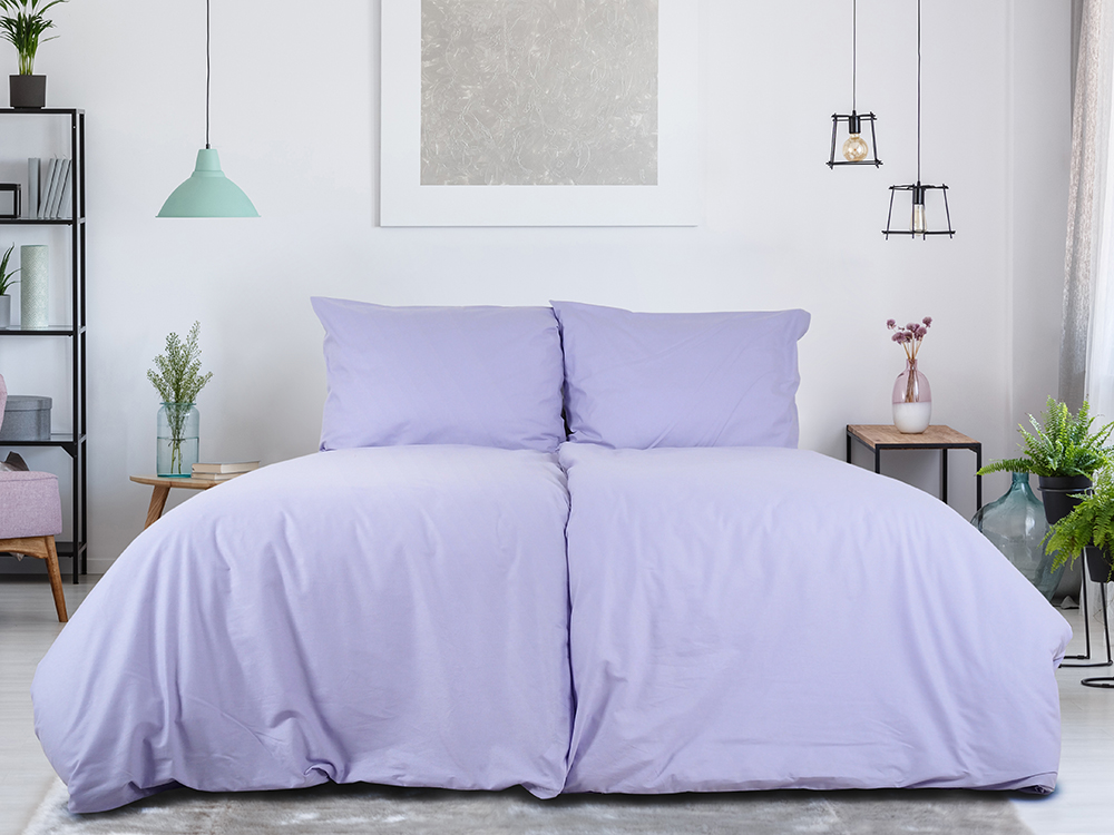 B.E.S. PETROVICE Povlečení kapsa 140 x 200 cm bavlna lev 1 ks