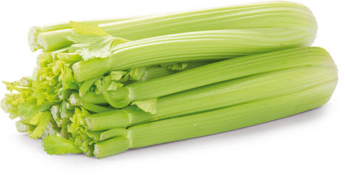 Celer řapíkatý CZ 400 g