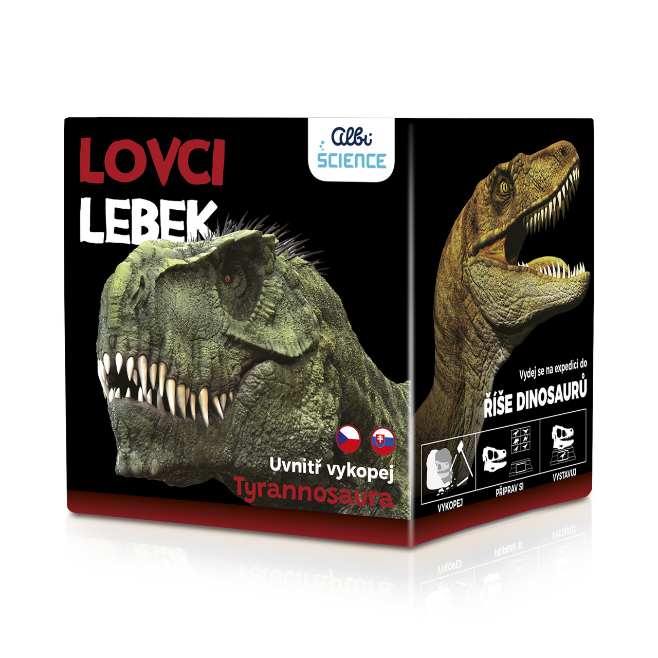 albi Lovci lebek Tyrannosaurus 1 k