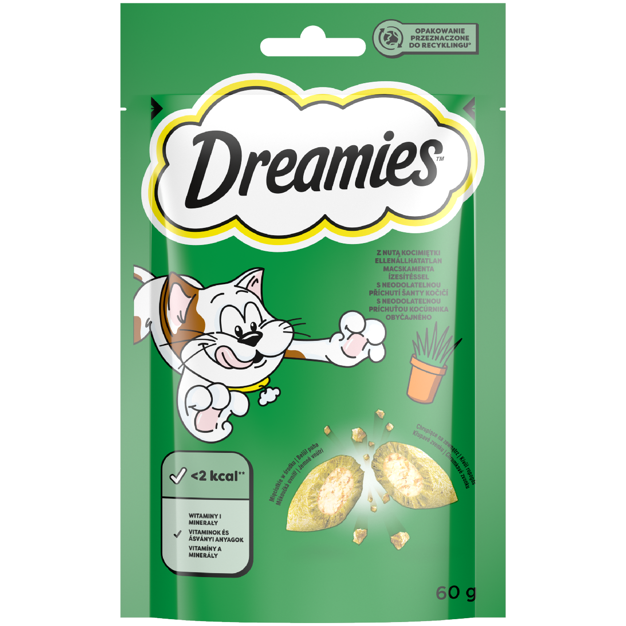 Dreaming Pochoutka Catnip pro kočky 60 g