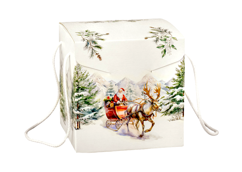 Vánoční balíček Santa 1 ks