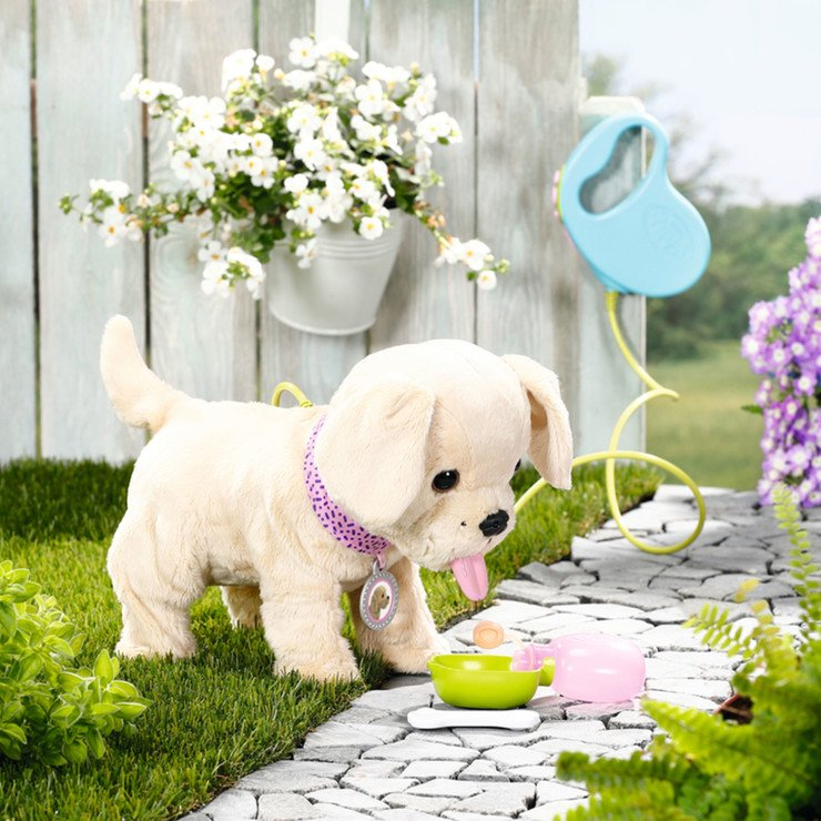 Baby Born Můj pejske s boxem 1 ks