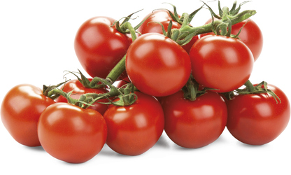 Rajčata Koktejlová Lucioso/ Oliv 1 kg