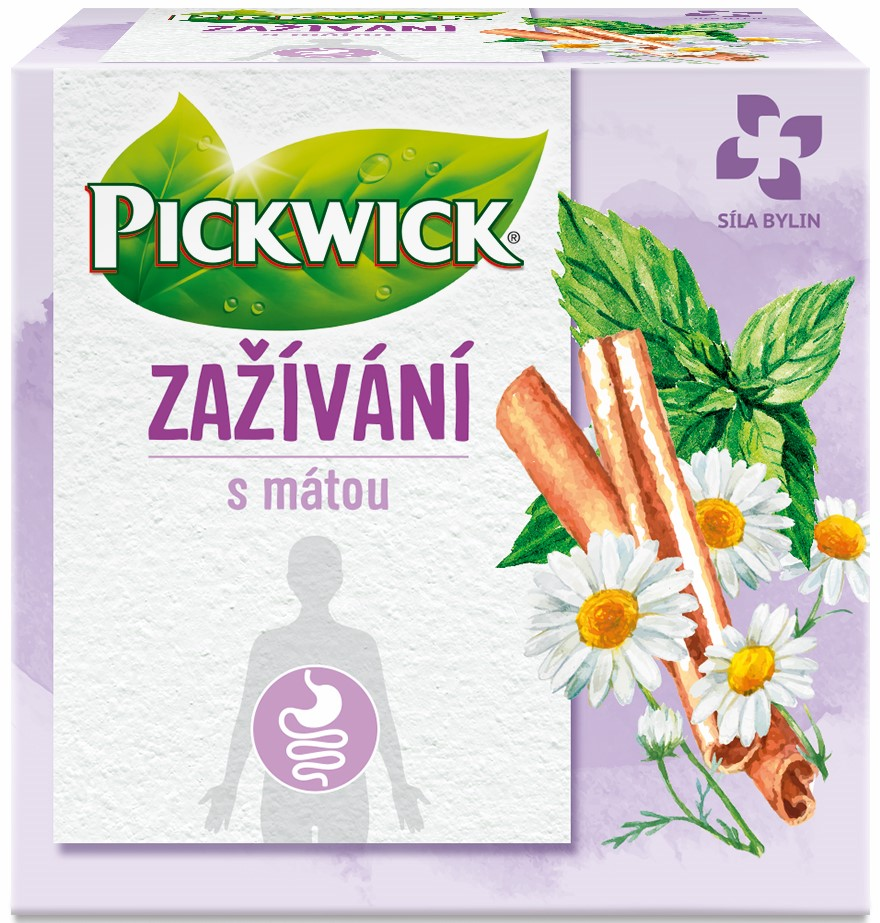 PICKWICK Čaj zažívání 20 g