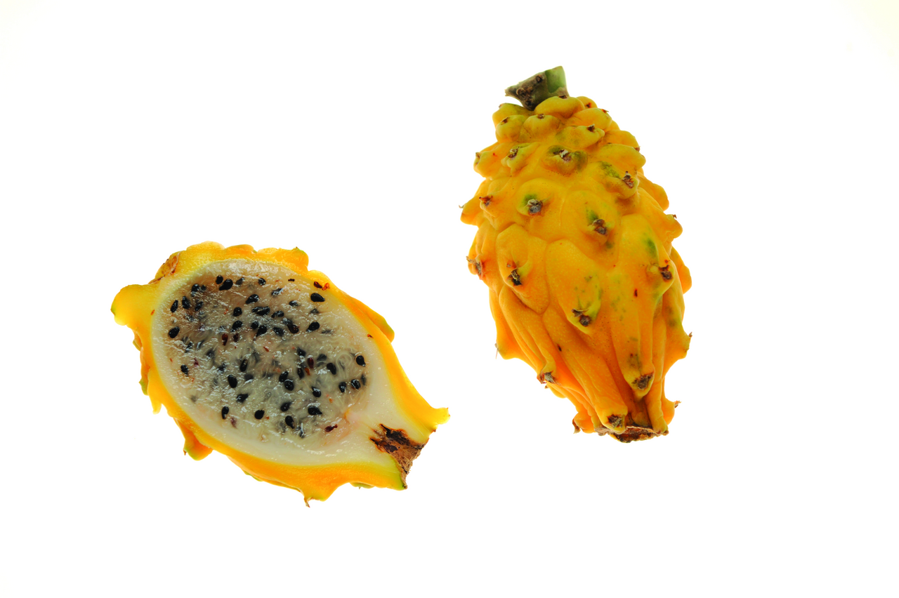 Pitahaya žlutá/ bílá  VN/ ID 1 ks